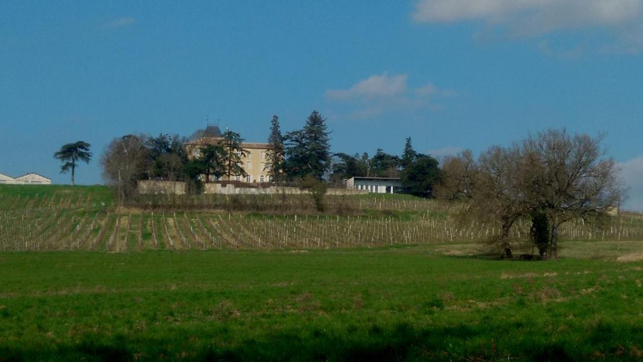 Chateau De Mons Armagnac 科桑 外观 照片