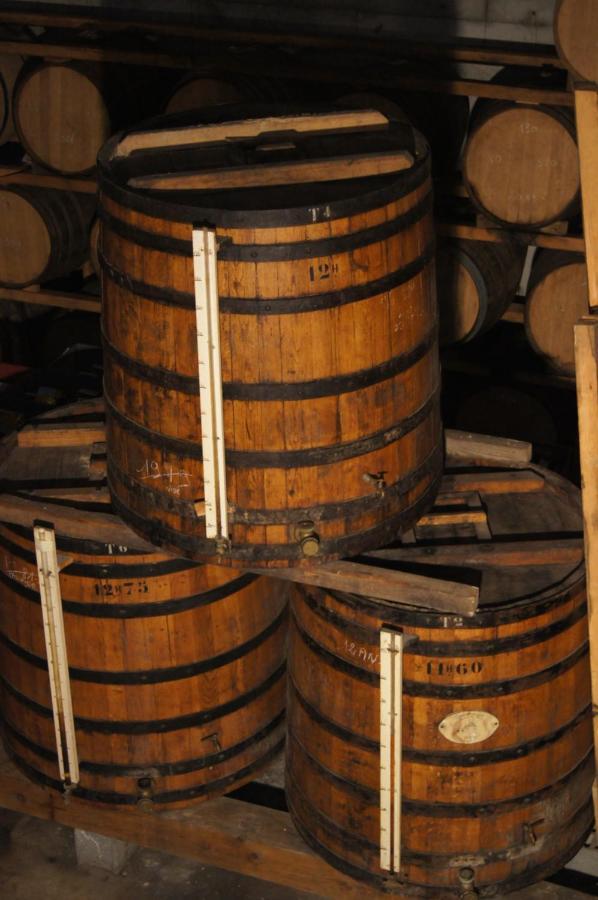 Chateau De Mons Armagnac 科桑 外观 照片