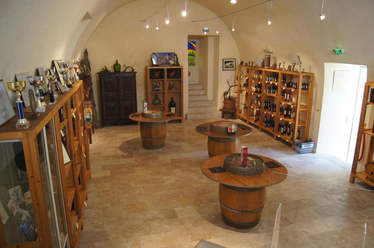 Chateau De Mons Armagnac 科桑 外观 照片
