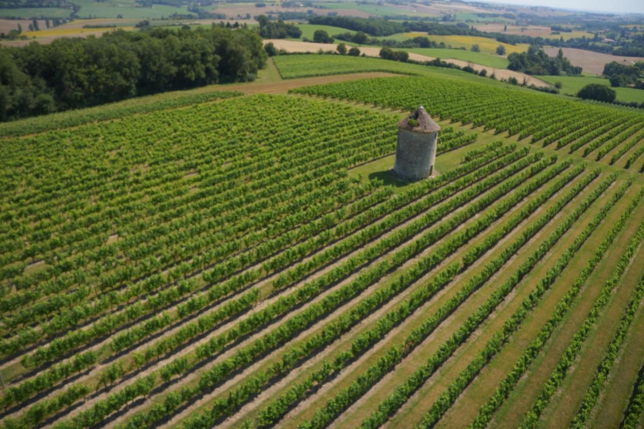 Chateau De Mons Armagnac 科桑 外观 照片